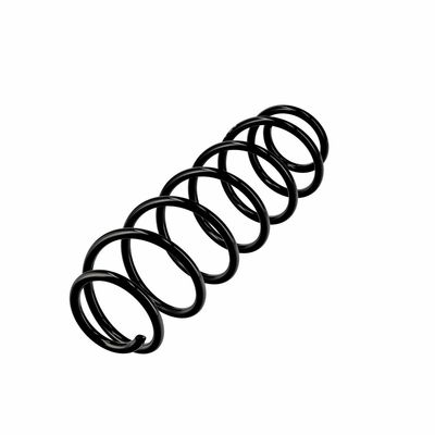 ARC SPIRAL EIBACH R10496 3