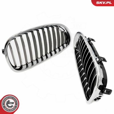 GRILA RADIATOR ESEN SKV 66SKV168 3