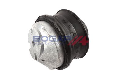 BOGAP Variklio montavimas