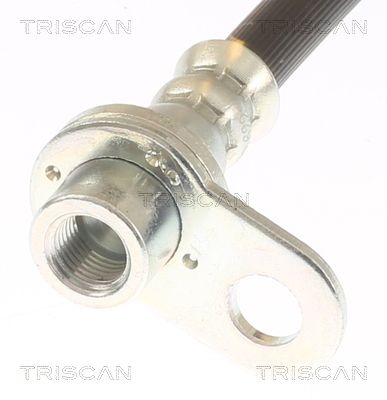 FURTUN FRANA TRISCAN 815042289 1