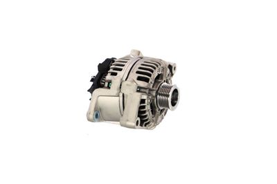 GENERATOR / ALTERNATOR REMANTE 011003000006R 60