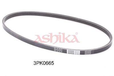 ASHIKA Keilrippenriemen