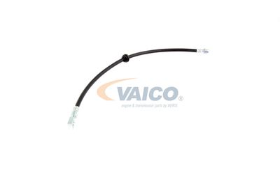 FURTUN FRANA VAICO V201909 54