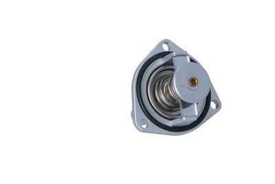 TERMOSTAT LICHID RACIRE NRF 725289 31