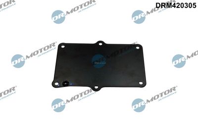 BAIE ULEI Dr.Motor Automotive DRM420305