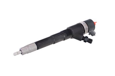 INJECTOR REMANTE 002003000031R 65