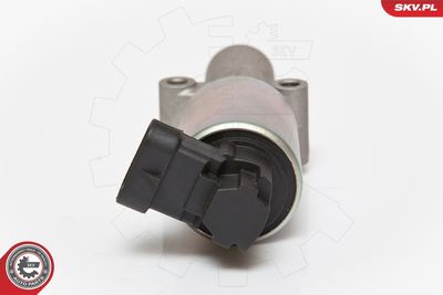 EGR Valve 14SKV065