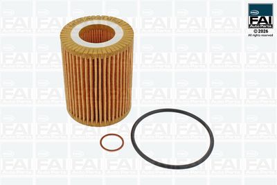 FAI AutoParts Alyvos filtras