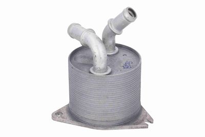 RADIATOR RACIRE ULEI CUTIE DE VITEZE AUTOMATA VEMO V10600076 4