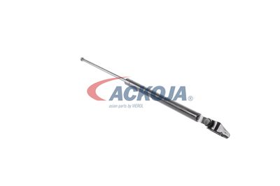 AMORTIZOR PORTBAGAJ ACKOJA A320075 44