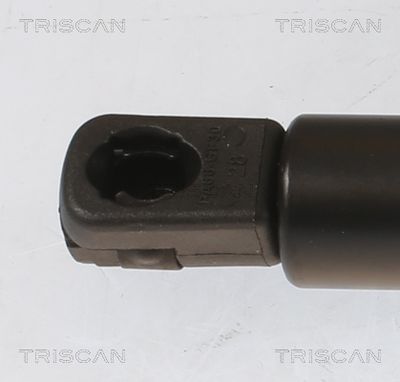 Amortizor portbagaj TRISCAN 8710 43251