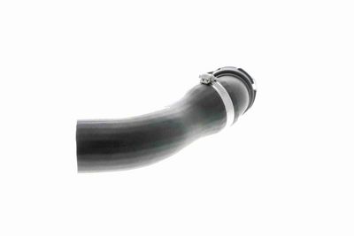 FURTUN EAR SUPRAALIMENTARE VAICO V201620 4