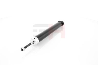 AMORTIZOR GH GH301515 13