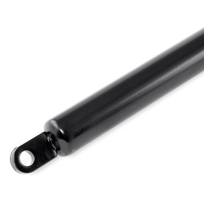 газов амортисьор, капак на двигателя RIDEX 514G0132