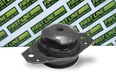 окачване, двигател FIRST LINE FEM3095