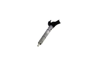 INJECTOR REMANTE 002003001368R 62
