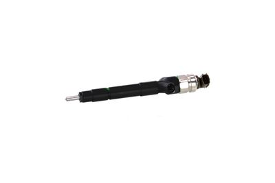 INJECTOR REMANTE 002003002091R 65