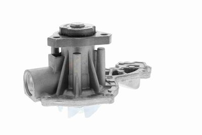 POMPă DE APă RăCIRE MOTOR VAICO V1050029 5