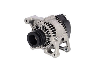 GENERATOR / ALTERNATOR REMANTE 011003000103R 6