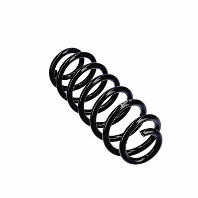 ARC SPIRAL EIBACH R13605 23