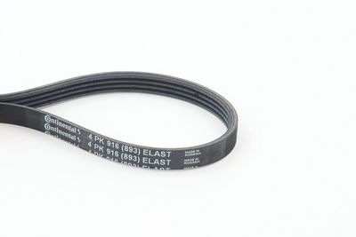 CONTINENTAL CTAM Keilrippenriemen