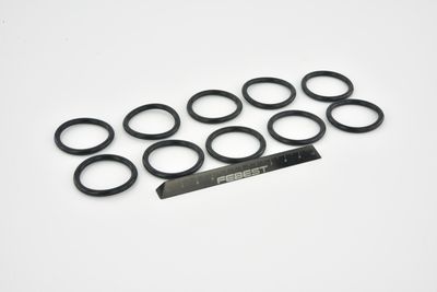 GARNITURA FLANSA LICHID RACIRE FEBEST RINGWH020PCS10 49