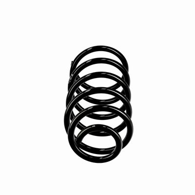 ARC SPIRAL EIBACH R10814 13