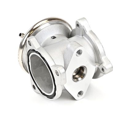 SUPAPA EGR DELPHI EG1050812B1 11