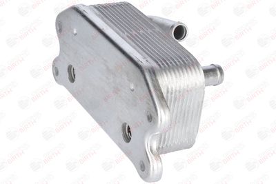 RADIATOR ULEI ULEI MOTOR BIRTH 80289 9