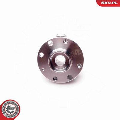 SET RULMENT ROATA ESEN SKV 29SKV027 3