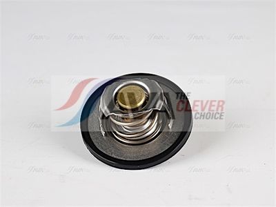 TERMOSTAT LICHID RACIRE