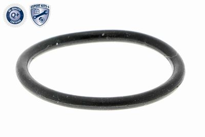 SUPAPA EGR VEMO V406300241 1