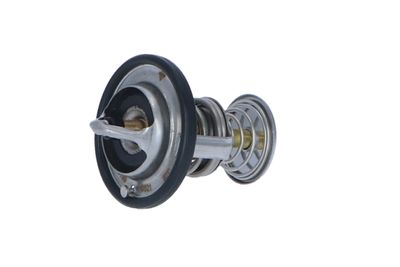 TERMOSTAT LICHID RACIRE NRF 725199 13