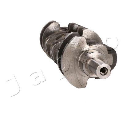 ARBORE COTIT JAPKO 8KI001 2