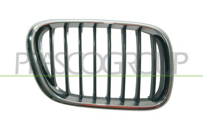 PRASCO BM8202003 Решетка радиатора  для BMW X5 (Бмв X5)