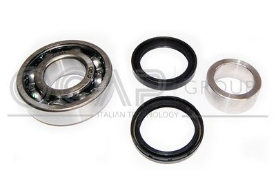 SET RULMENT ROATA OCAP 6120525