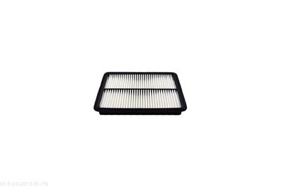 FILTRU AER AUTOMEGA 250052010 2