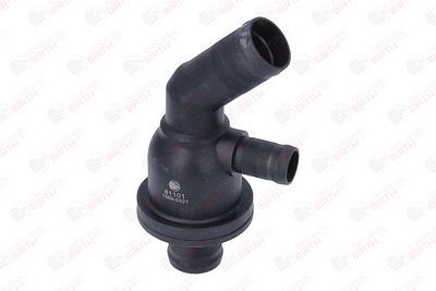 FLANSA LICHID RACIRE BIRTH 81101 2