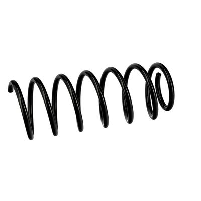 ARC SPIRAL EIBACH R11061 6