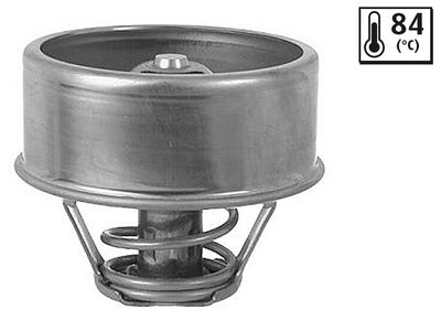 TERMOSTAT LICHID RACIRE