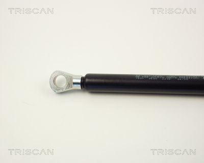 AMORTIZOR PORTBAGAJ KAWE 87101601 1