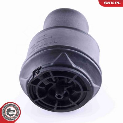 ARC PNEUMATIC DIRECTIE ESEN SKV 58SKV022 1