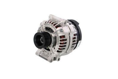 GENERATOR / ALTERNATOR REMANTE 011003000335R 9