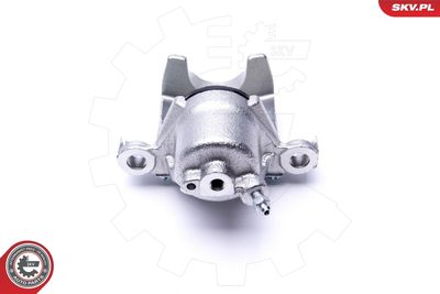 Brake Caliper 46SKV724