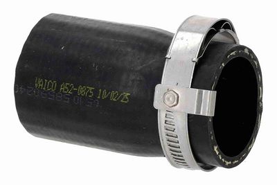 FURTUN EAR SUPRAALIMENTARE ACKOJA A520875 3