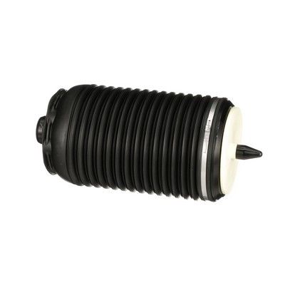 LUFTFEDER FAHRWERK Arnott A3295 29