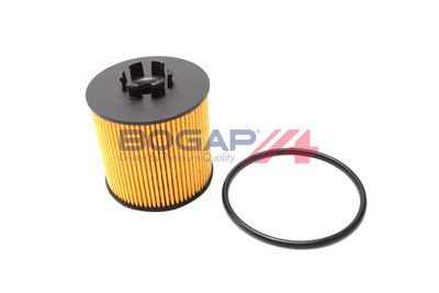 BOGAP Alyvos filtras