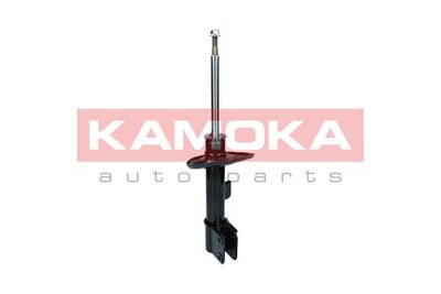 Shock Absorber 2000167