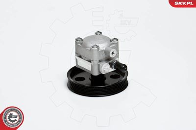 Hydraulic Pump, steering 10SKV176