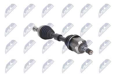 PLANETARA NTY NPWCH158 31